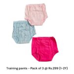 Training Pants (1-2 Years)-10