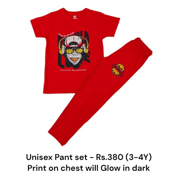 Boys Pant Set - 3-4Y