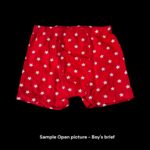 Boy's briefs  - Pack of 2 briefs (15-16Y) - 03