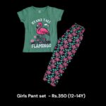 Girls Pant Set - (12-14 Years) - 04
