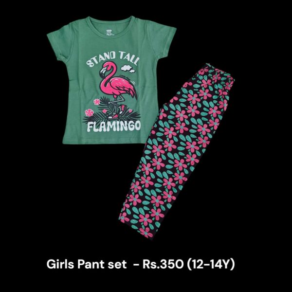 Girls Pant Set - (12-14 Years) - 04