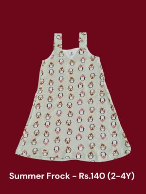 Summer Frock (2-4 Years) - N06